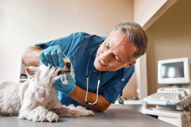 Best Emergency Treatment for Dental Infections or Abscesses in Austin, TX